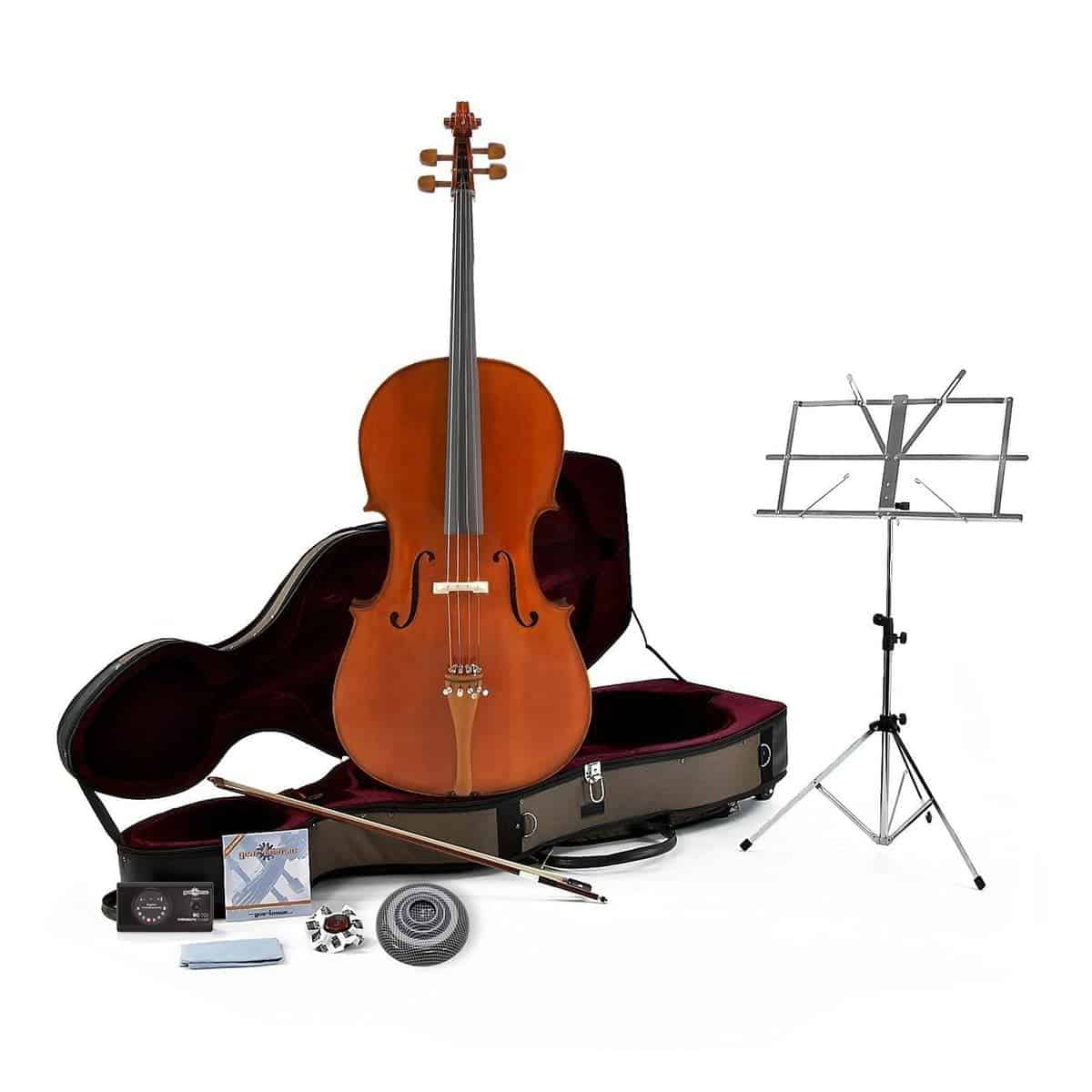Top 5 Cellos For Beginners Ted's List