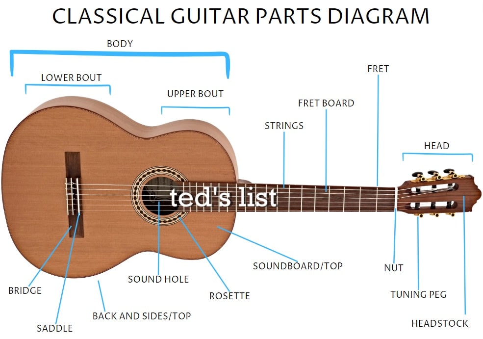 Classical Vs Acoustic Guitar Ted's List