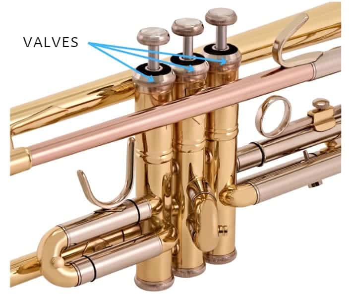 How Much Does A Trumpet Cost Ted's List