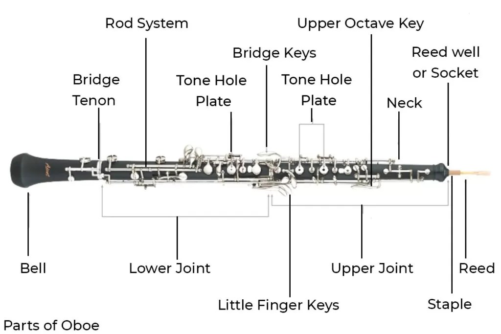 Oboe Cost Ted's List