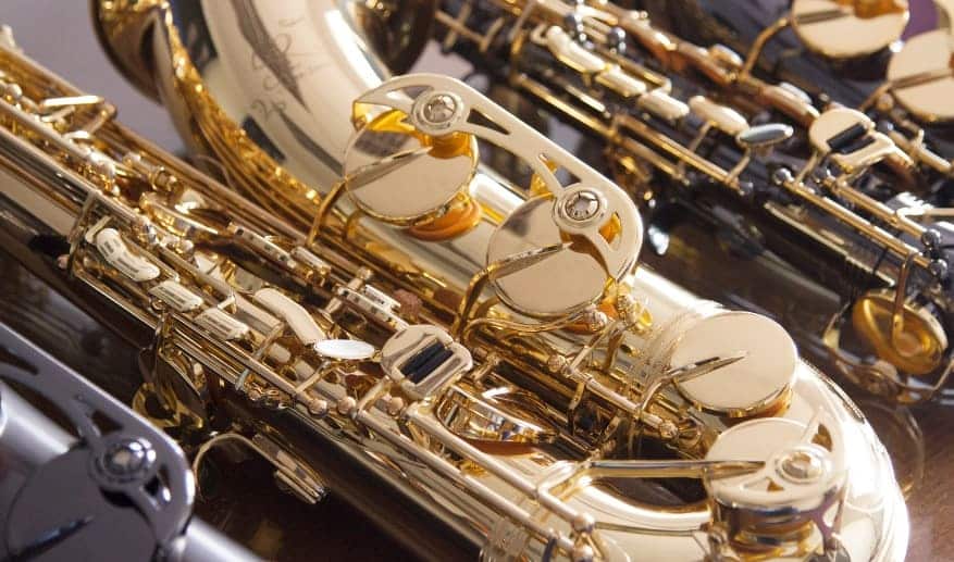 Best Saxophone Brands (2023) Ted's List