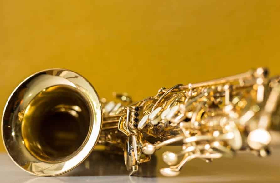 Best Saxophone Brands (2023) Ted's List