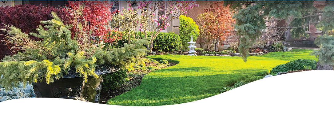 Blog45_GardeningTrends2019Blog Ted Lare Design & Build