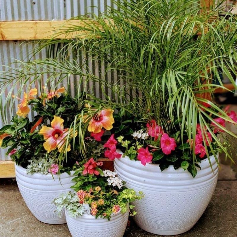 DropIn Summer Planter 5/21/22 9am3pm Ted Lare Design & Build