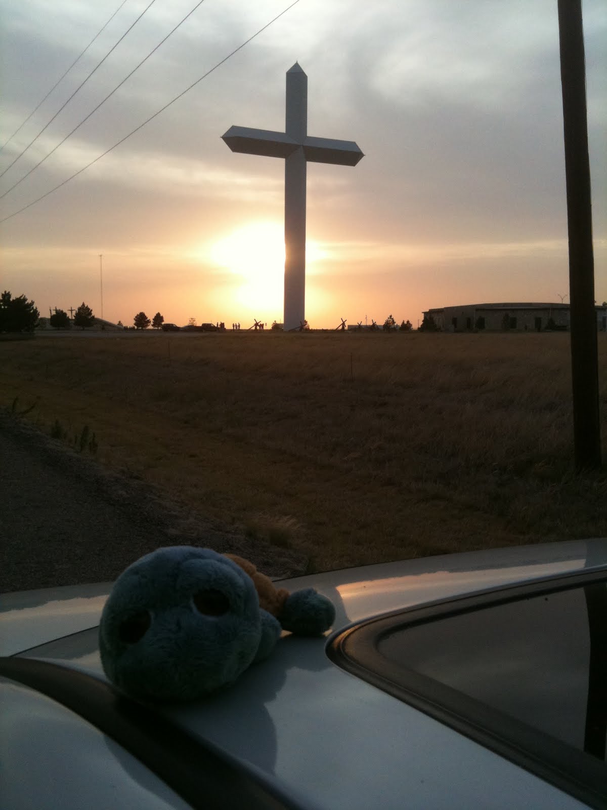 largest cross tedthetravelingturtle