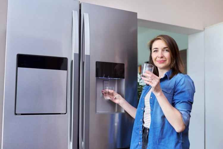 How Often Should I Change My Refrigerator Water Filter? Teecycle