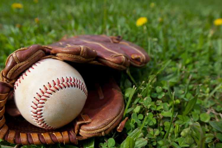 How to Choose a Baseball Glove? A Beginner Guide Teecycle