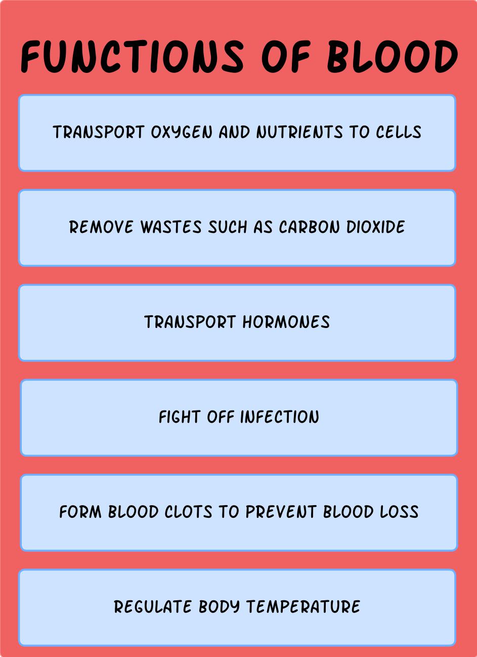 The Blood Ban Barriers to Donating Blood in Canada Teen Health Source