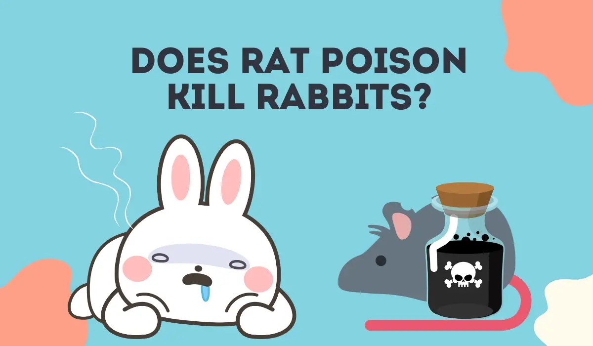 Hoppening Horror Does Rat Poison Kill Rabbits? Let's Find Out!