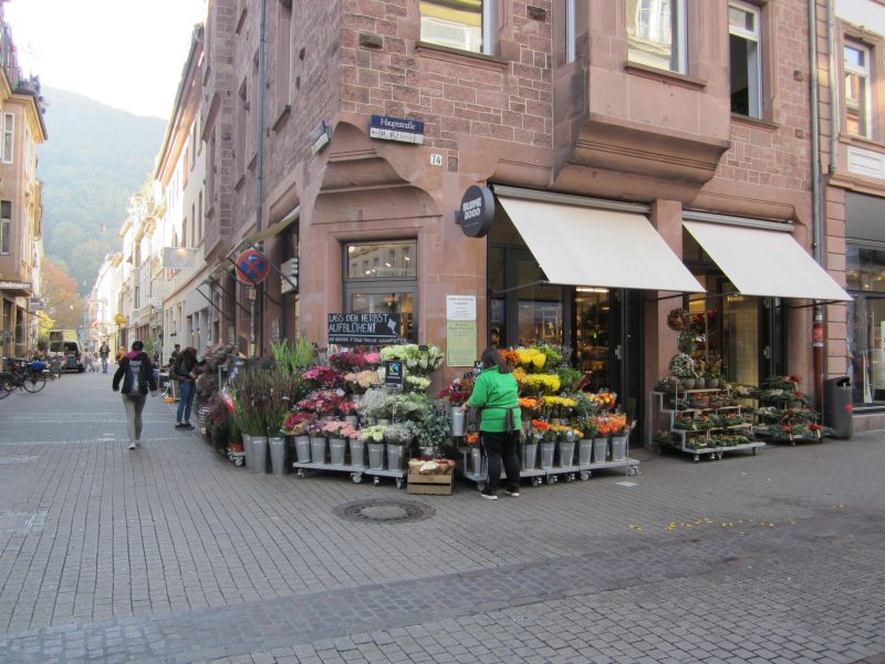 HEIDELBERG, GERMANY SERENDIPITY SEEKING INTELLIGENT LIFE ON EARTH