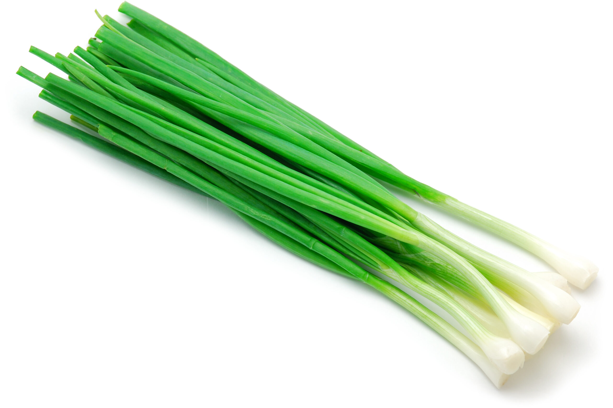 Green Onion for Teething Babies. How it Works and Why? Teethandtooth