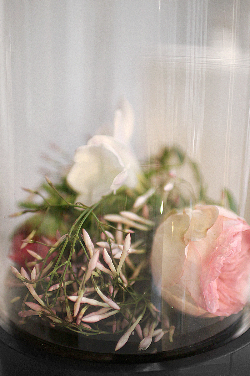 Introducing Flowerbomb's new sister Flowerbomb Bloom » teetharejade