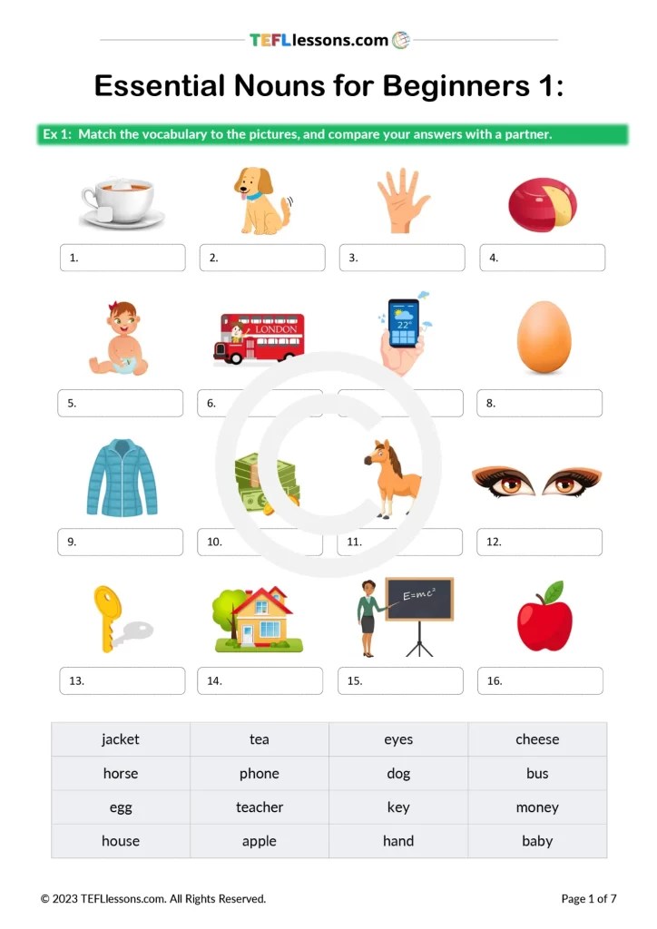 Essential Nouns for Beginners TEFL Lessons ESL