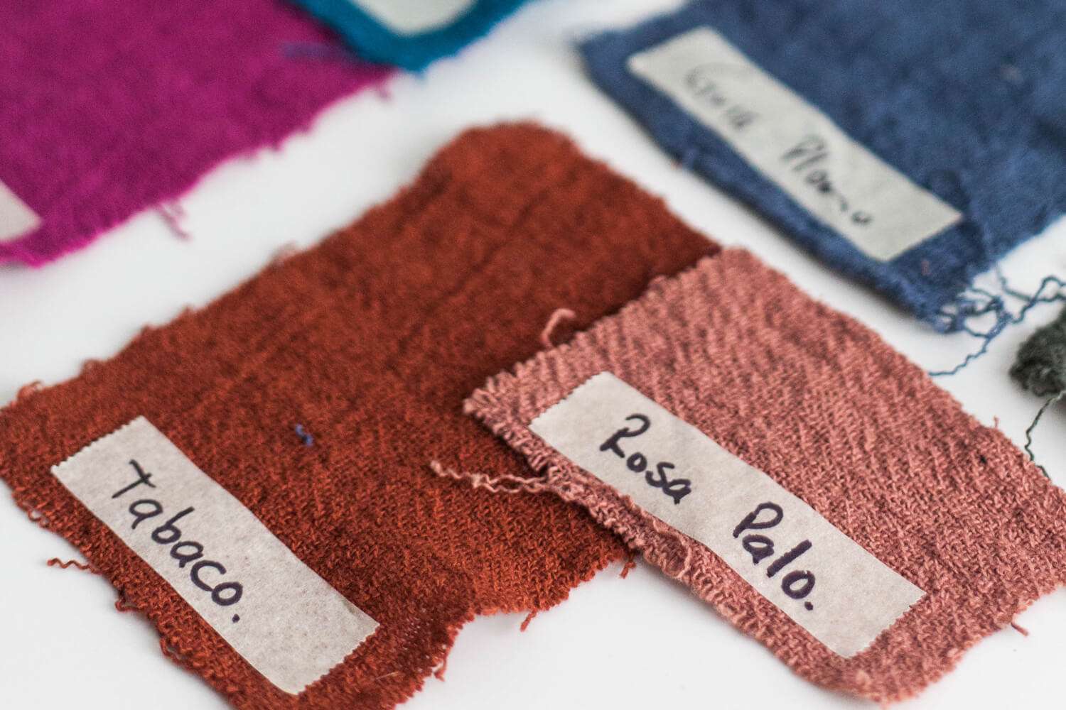 Lab Dips How to Nail the Perfect Color TEG