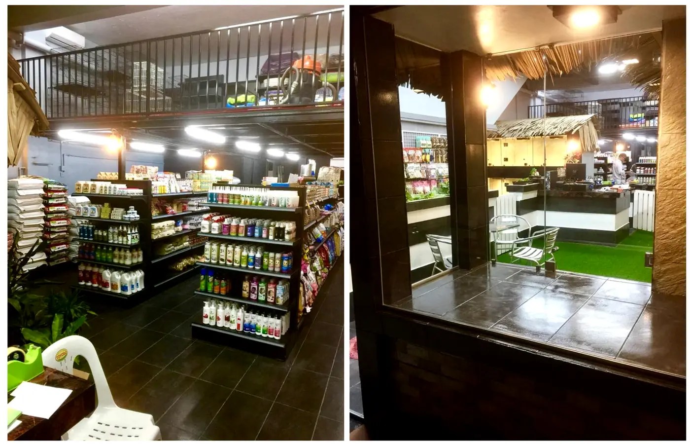 Pet Shops In Selangor Top 5 Pet Shops That Cater To Every Pet’s Need