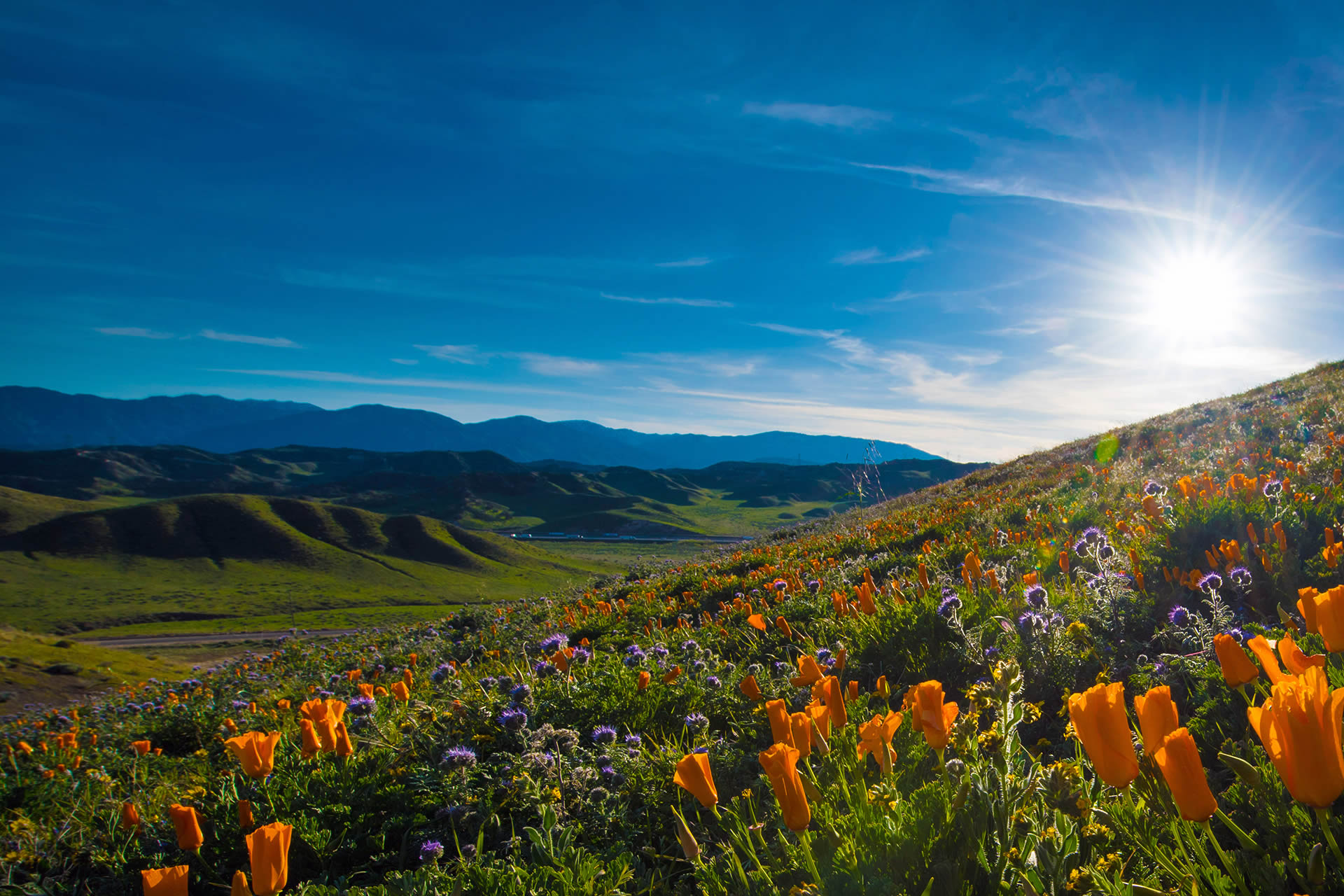 » Explorer Membership Your exclusive access to Tejon Ranch!