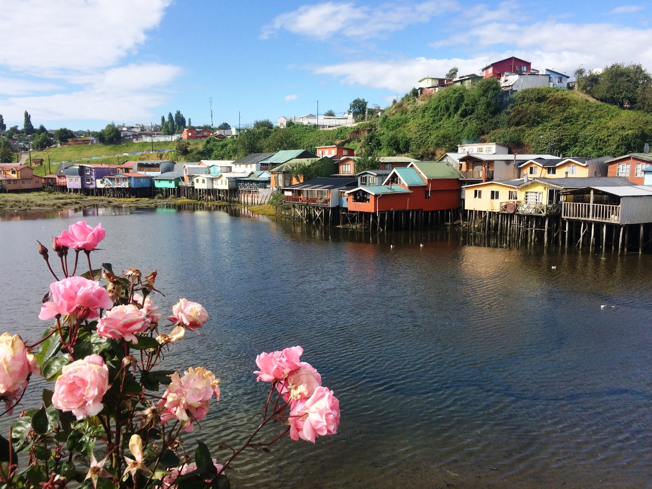 Travelblog SA38 Chiloé Island Chile Tej Turner
