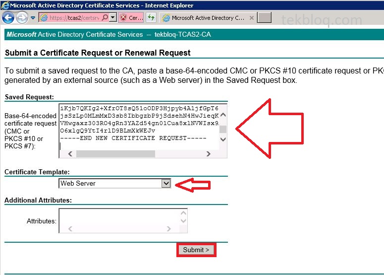 Create certificate for exchange 2010 servers using windows CA TekBloq