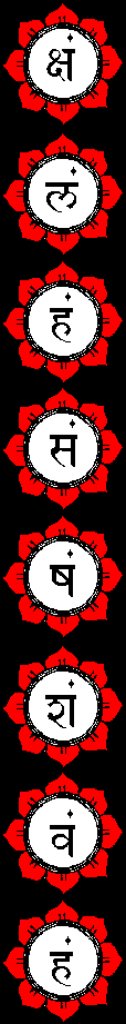 The Eight Circuits of Consciousness
