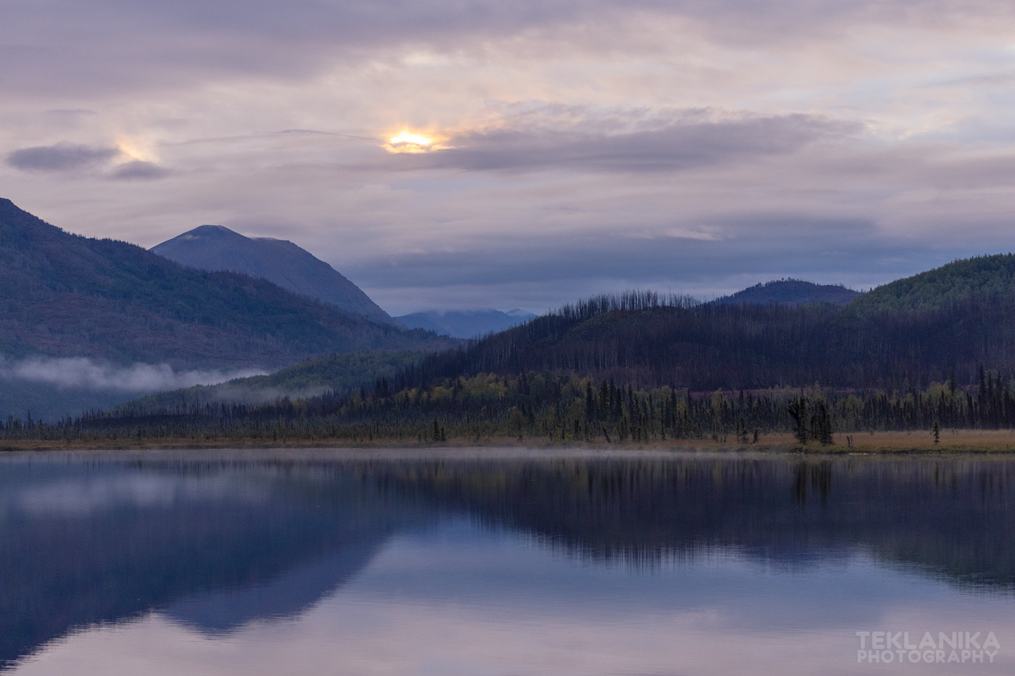 Good Morning Wilder Alaska Teklanika Photography Field Journal