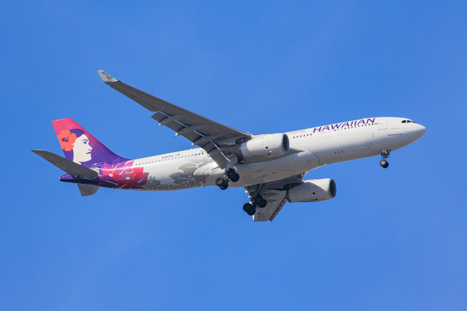 Hawaiian Airlines menjadi Maskapai AS Pertama yang Tawarkan WiFi Starlink