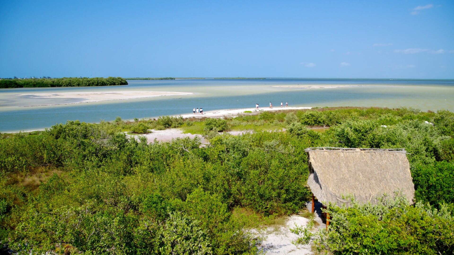 A Guide to Isla Holbox in Mexico’s Riviera Maya Teknomadics Adventure