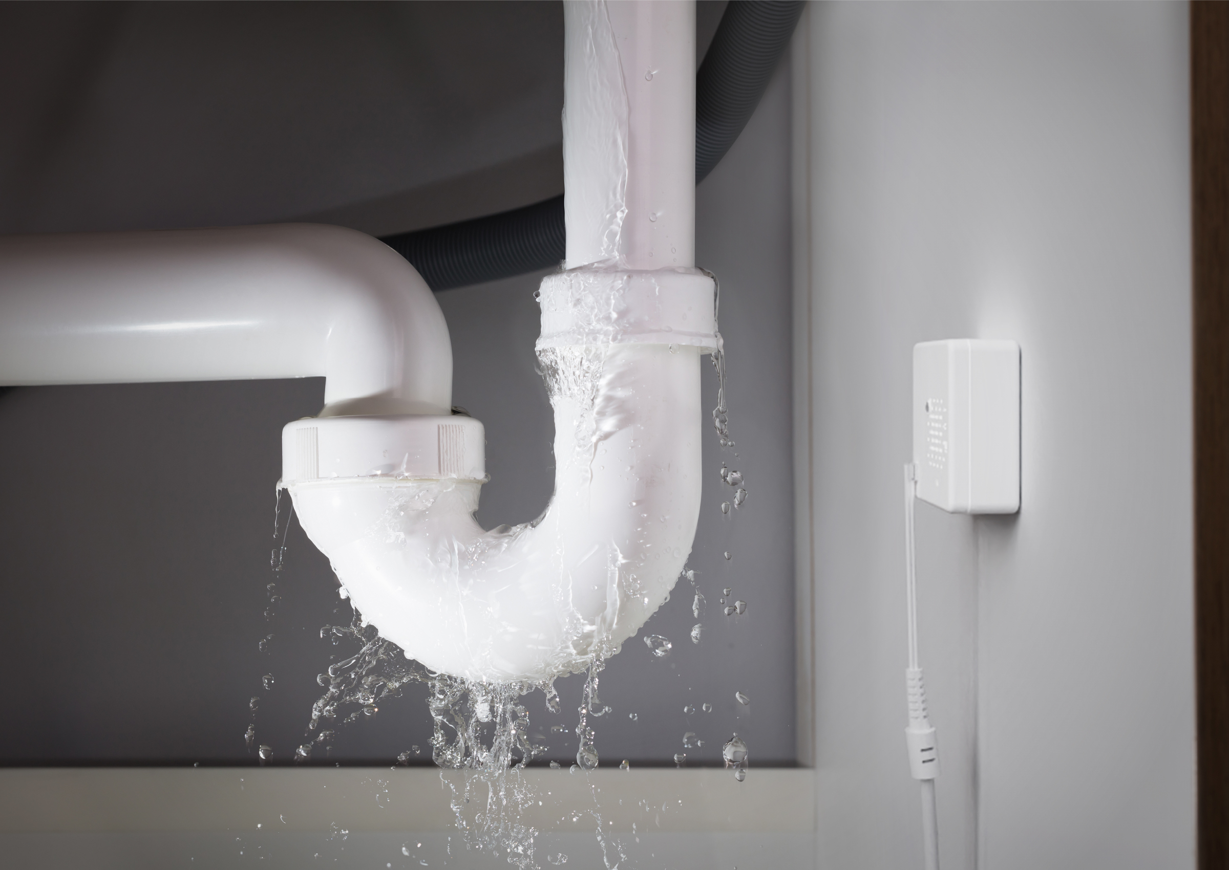 5 Best Water Leak Detectors Chosen By Experts