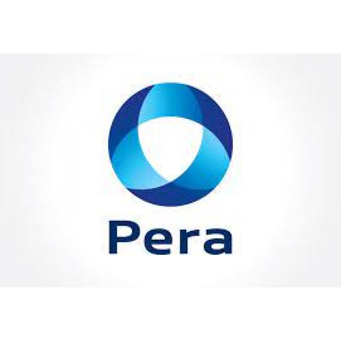 Cast Iron Chips IP287