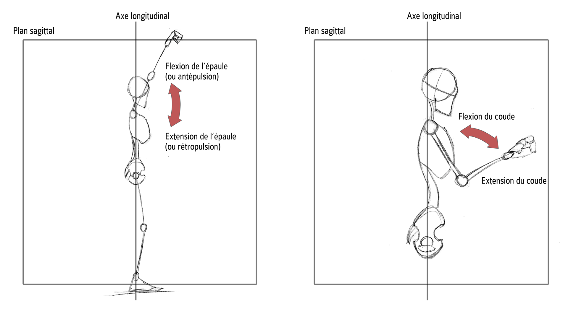 Réalisation d’une orthèse permettant la détection et le mouvement robot
