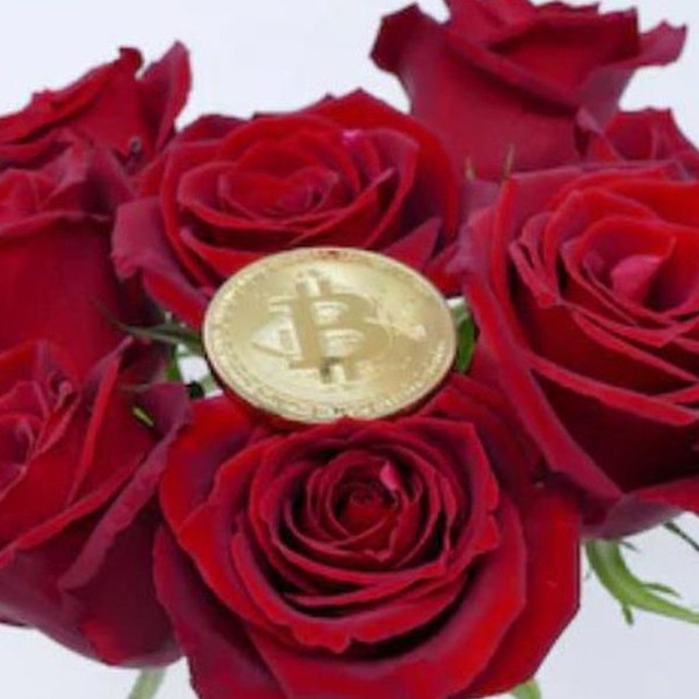 Rose VIP Signal 🌹 Telegram Channel