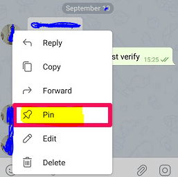 How To Pin A Message In Telegram Android And Ios Devices Telegramtutor