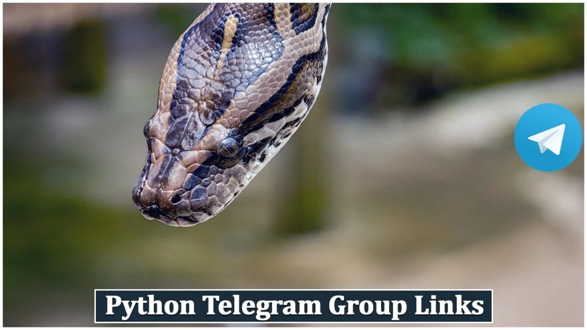 880+ Python Telegram Group Links & Channel List 2026