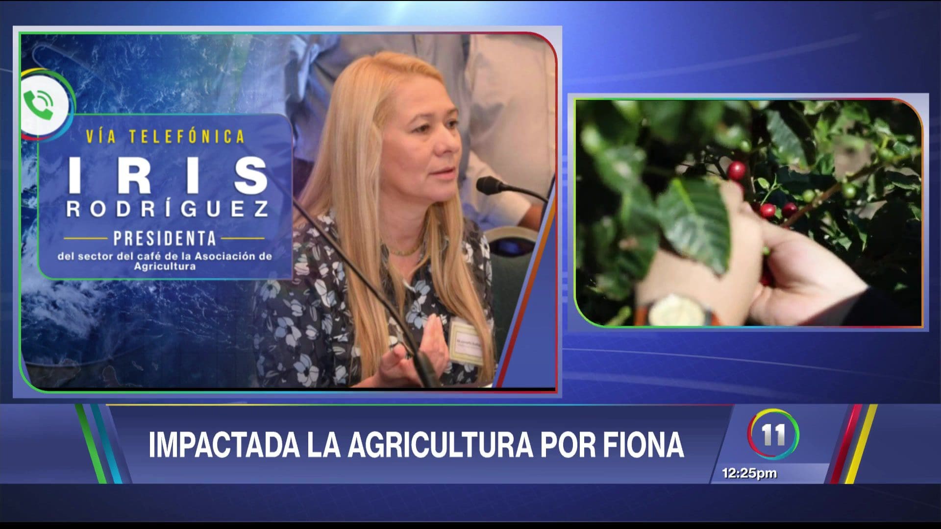 Fiona provoca daños en la industria del café - TeleOnce TV | Vívelo