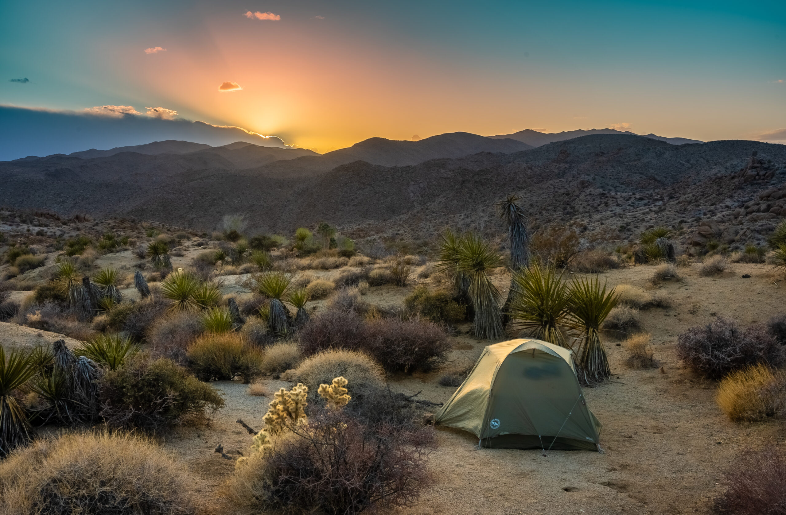 Joshua Tree NP Sunset at Camp Telepathic Stuntman