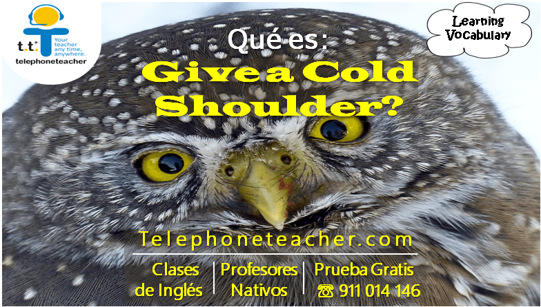 Idiom Of The Week Cold Shoulder BLOG t.t.® your teacher any time