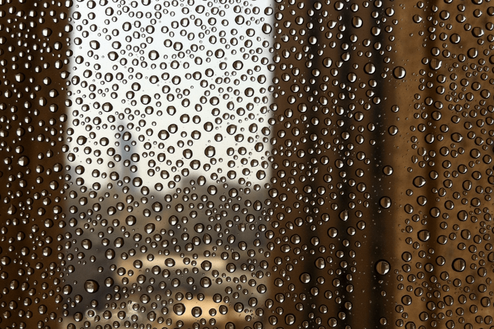 Humid morning in Kuwait! A Traveler Foodie eSpot.. Traveling like