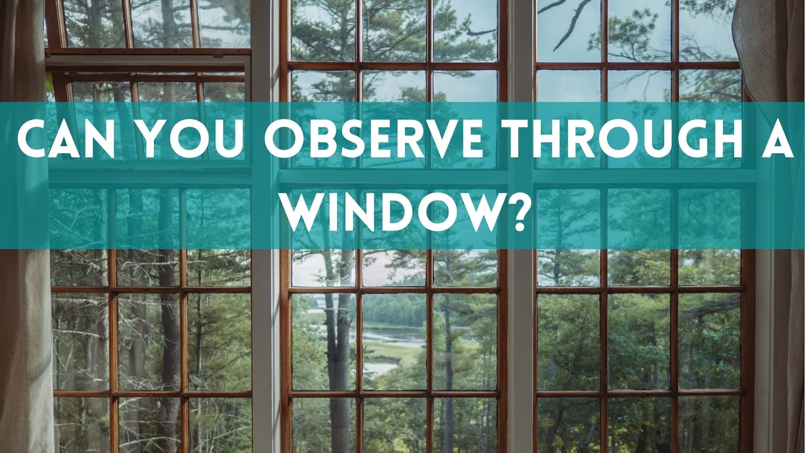 Can You Use a Telescope Through a Window? Telescope Boss