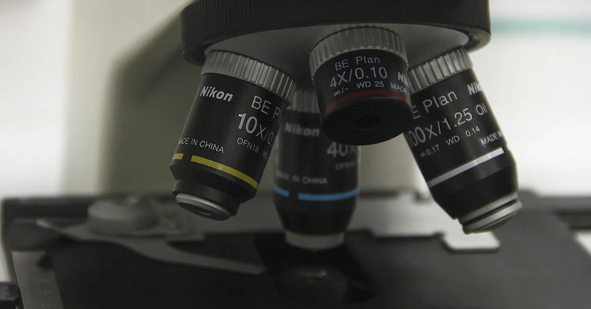 Celestron Vs Nikon Binoculars A Comparative Review Based on Customer