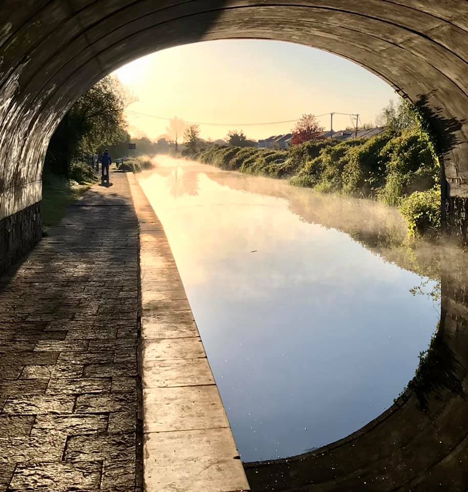 Canal Bank Walk, by Patrick Kavanagh In the Dark