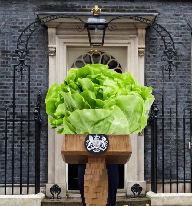 A New Head for the UK In the Dark