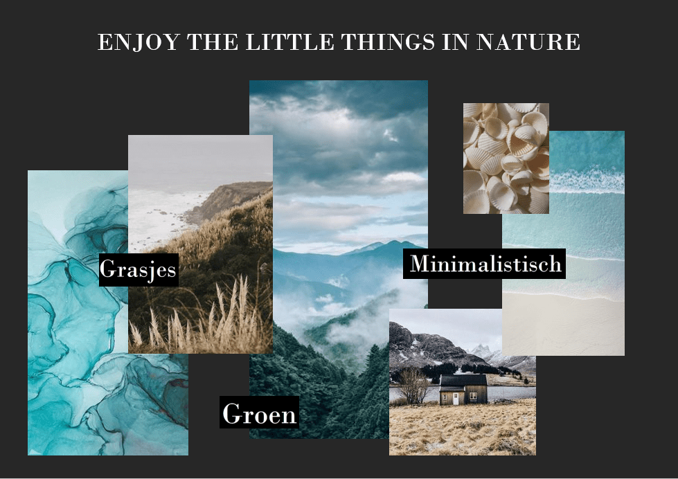 Portfolio Moodboard