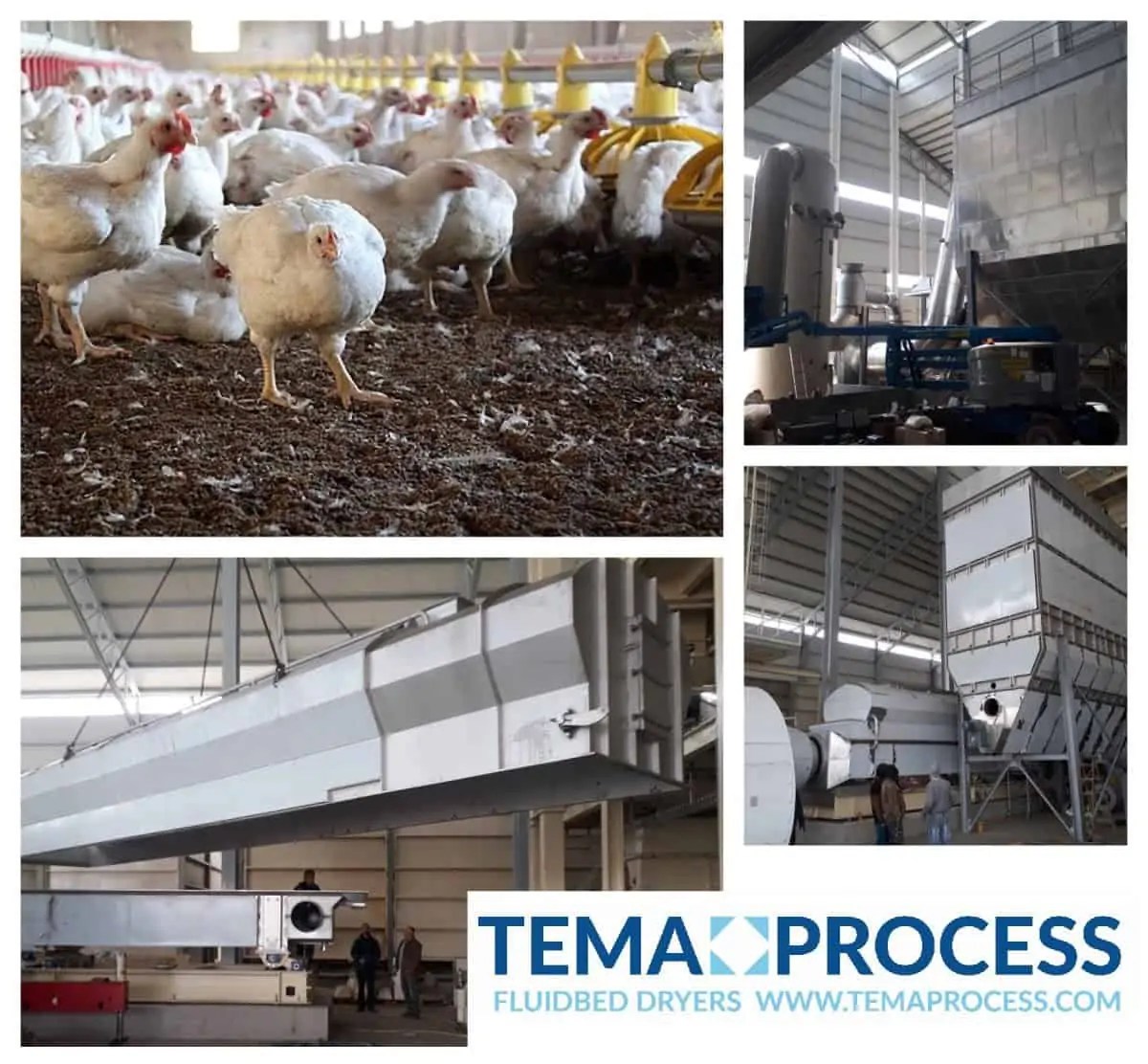 poultry manure drying Tema Process