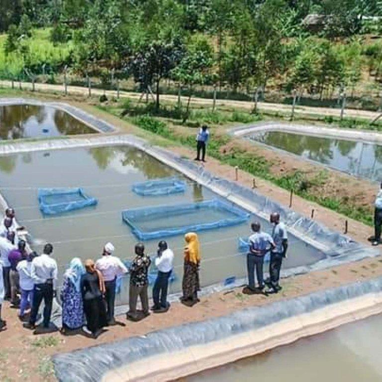 Best Dam Liners In Kenya TEMBO Liners Made In Kenya