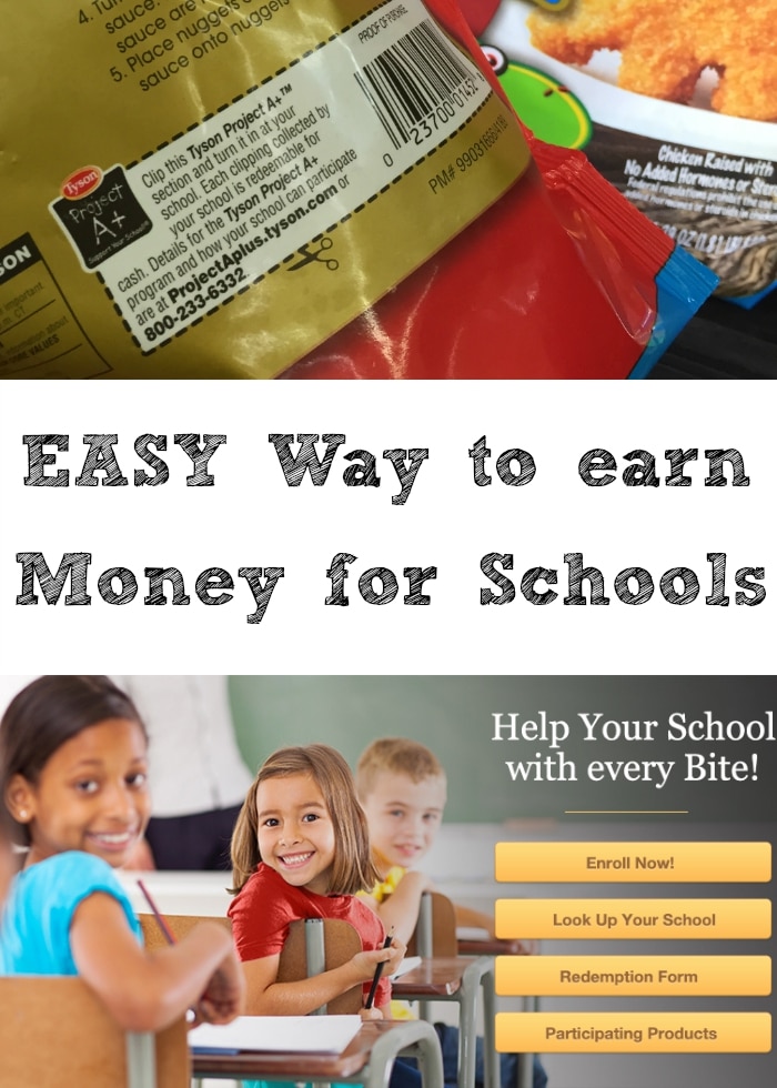 How to Raise Money for School · The Typical Mom