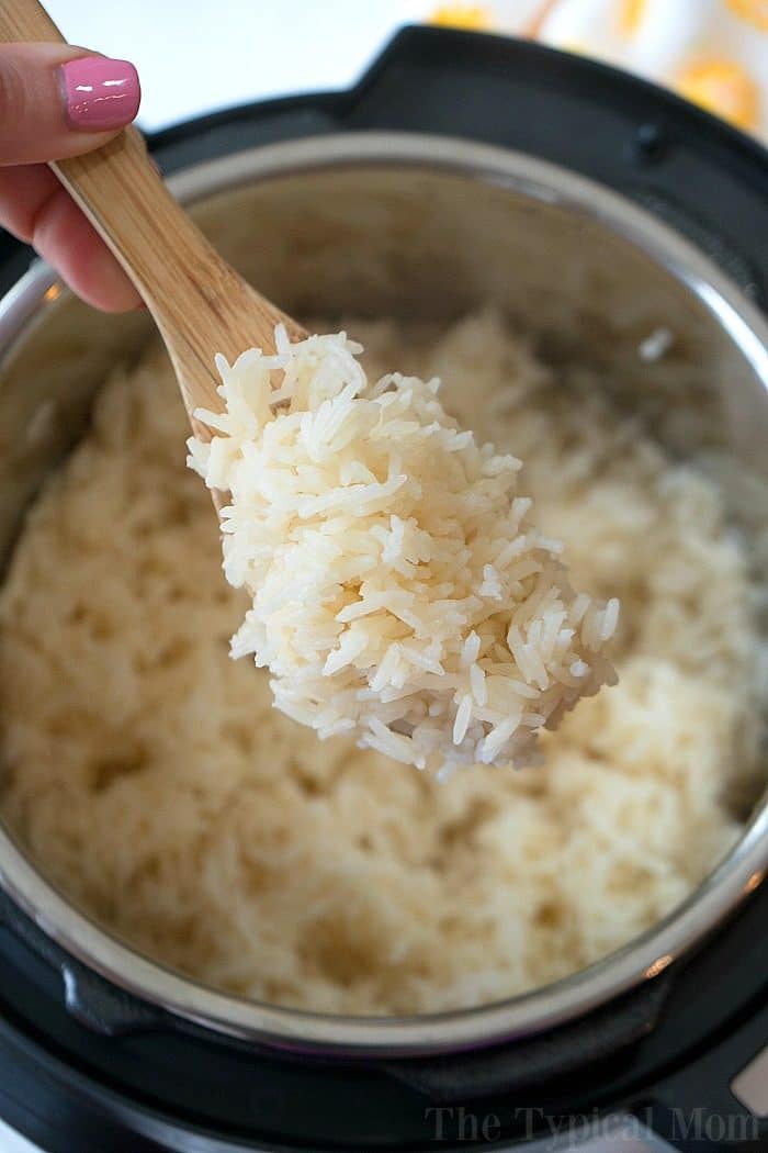 Instant Pot White Rice · The Typical Mom
