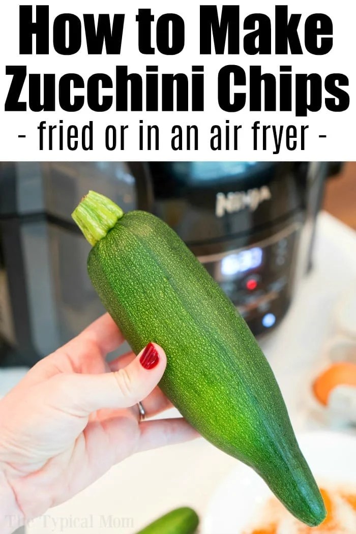 Easy Salt and Pepper Zucchini Chips with Tempura Fried or Baked