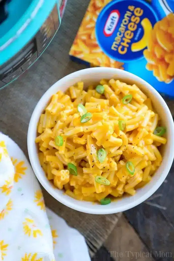 Easy 4 Ingredient Instant Pot Macaroni and Cheese Recipe