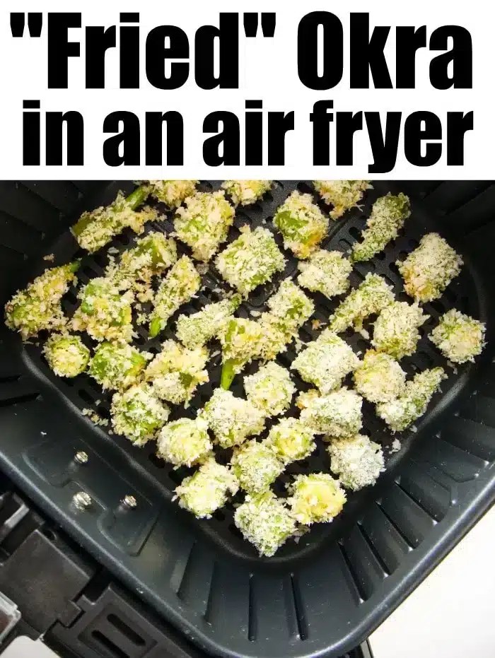 Breaded Crispy Air Fryer Okra Bites Ninja Foodi Air Fryer Okra