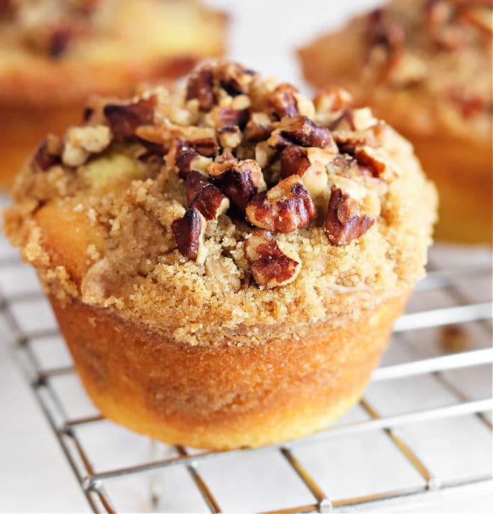 Bakery Style Coffee Cake Muffin Recipe Dunkin Donuts Copycat