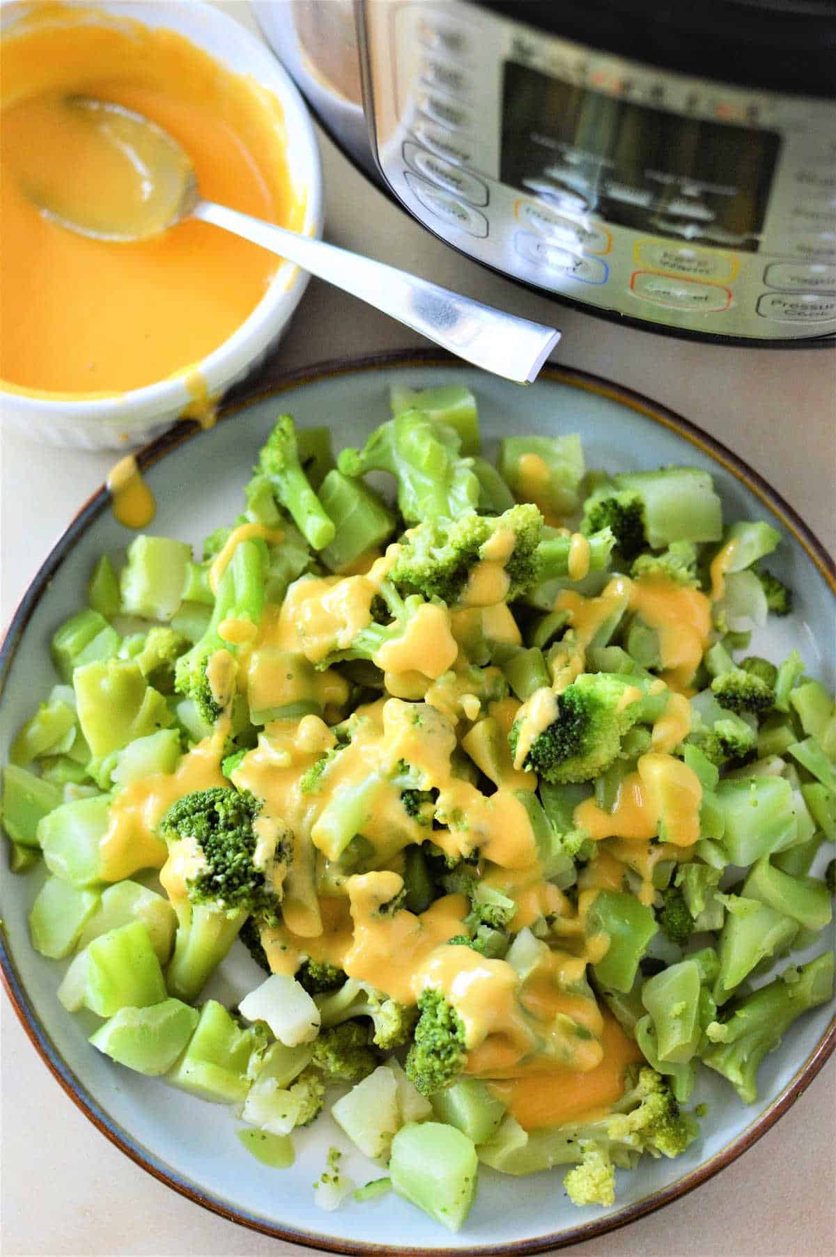 Instant Pot Frozen Broccoli Pressure Cooker Frozen Broccoli